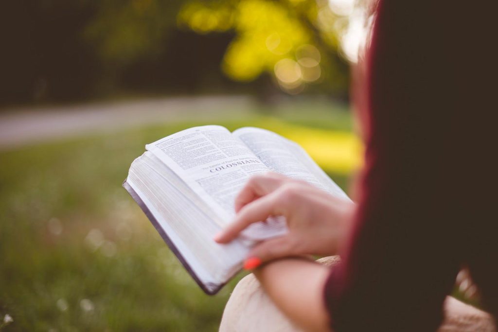 Livro Para Treinar Uso Das Técnicas De Poesia